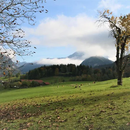 Amberg By Interhome Schwoich