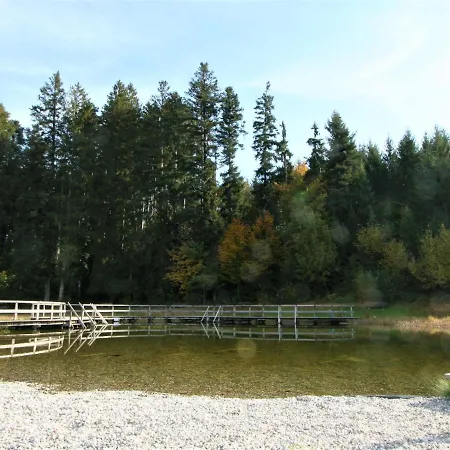 Amberg By Interhome Schwoich